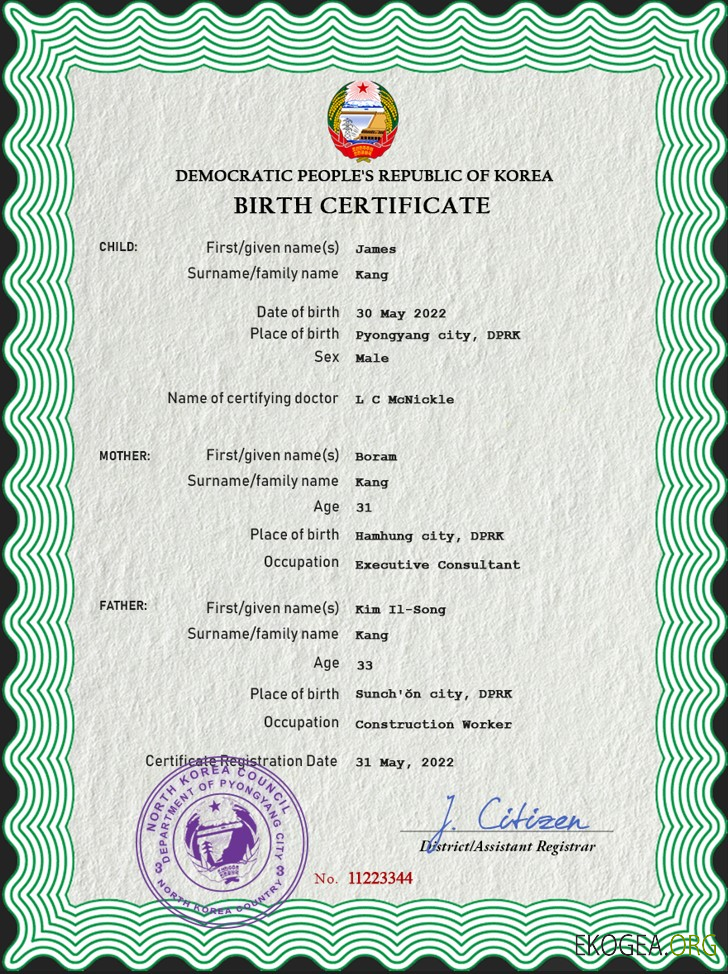 Modèle PSD de certificat de naissance en Corée du Nord